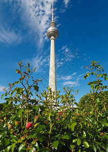 Fernsehturm意指电视塔德国柏林亚历山大广场柏林Fernsehturm电视塔柏林图片