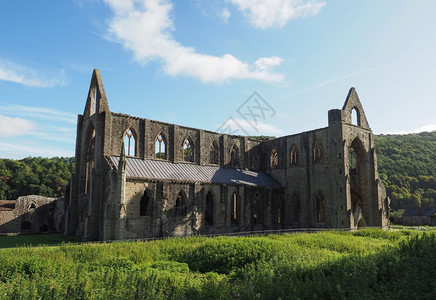 廷顿修道院威尔士的AbatyTyndyrn位于英国廷顿的废墟丁登修道院AbatyTyndyrn图片