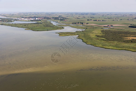 在Friesland的荷兰Makkum村空中观察位于IJsselmeer湖水浅Swans正在水中游泳图片