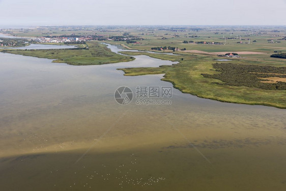 在Friesland的荷兰Makkum村空中观察位于IJsselmeer湖水浅Swans正在水中游泳图片