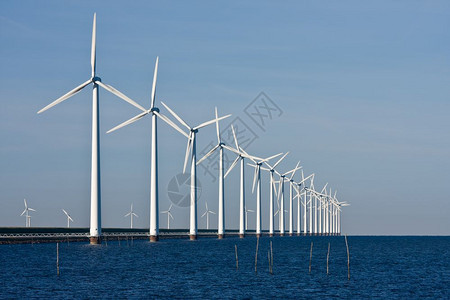 荷兰海沿岸长排的挡风涡轮动物图片