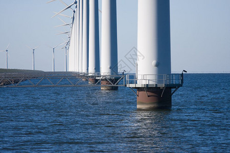 荷兰海的风涡轮动物图片