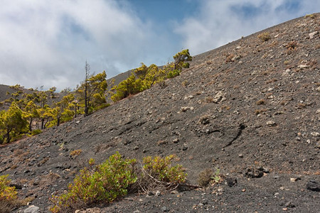 加那利群岛LaPalma火山灰埋在LaPalma火山灰中LaPalma火山灰中图片