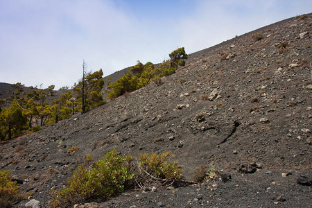 加那利群岛LaPalma火山灰斜坡图片