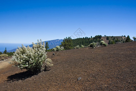 西班牙LaPalma荒凉的火山景观图片