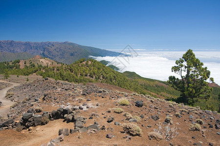 西班牙加那利群岛拉帕尔马火山景观图片