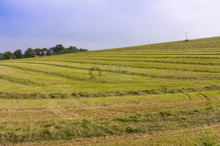 捷克耕地有草捷克图片