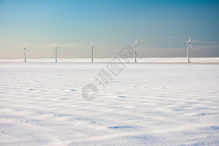 荷兰冬季风景包括雪田和风力涡轮机图片
