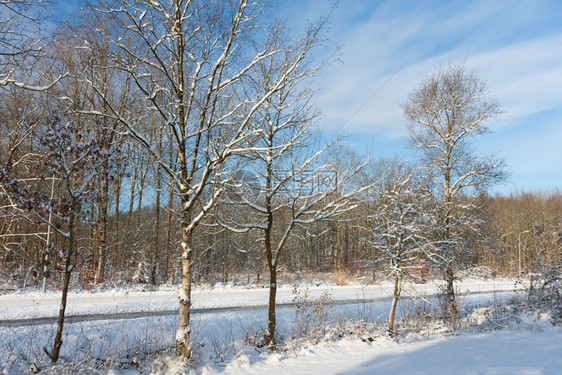 冬日的森林里小径穿过覆盖着白雪的树木阳光明媚冬天的森林里有一条穿过被雪覆盖的树的小路图片