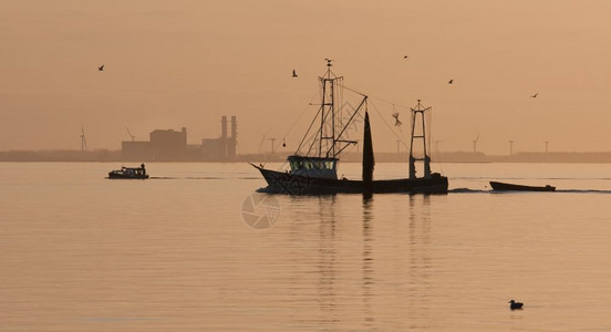 在荷兰IJsselmeer湖日落时航行回家的渔船图片
