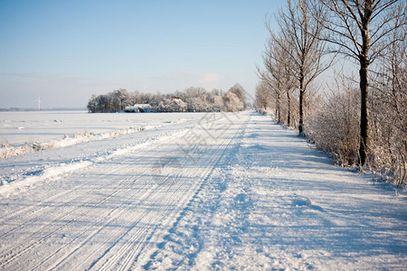 冬季下雪覆盖的荷兰农田图片