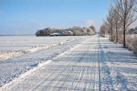 荷兰无尽的雪田图片