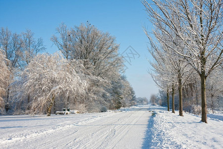 努尔多斯托尔得的冬季景观荷兰大农田图片