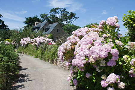 法国布列塔涅有花园的老旧传统房屋图片