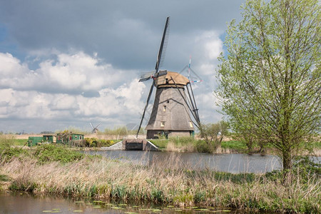 荷兰历史悠久的旧木制风车图片