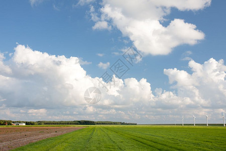 荷兰农地典型的荷兰云风图片