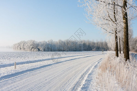 荷兰冬季农田覆盖雪图片