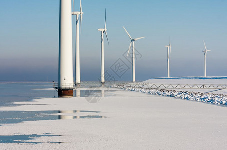荷兰在冰冻海中的荷兰近风涡轮鱼图片