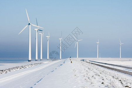 荷兰冬季风景中长排的风涡轮动物图片
