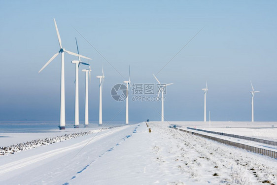 荷兰冬季风景中长排的风涡轮动物图片