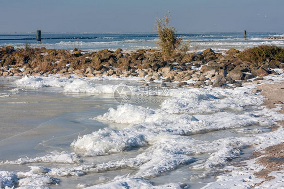 荷兰冬季风景冰冷的海水和漂浮冰层靠近海岸图片