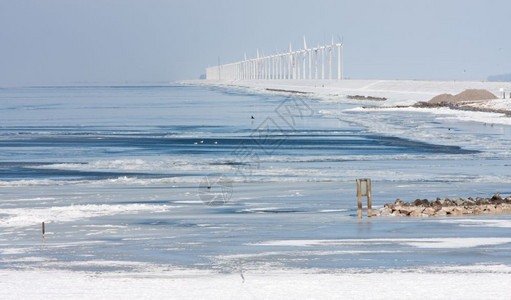荷兰冬季海景与大片风涡轮动物农场图片