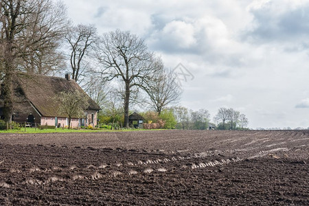 春时与荷兰的农舍隔开田在荷兰的舍隔开田图片