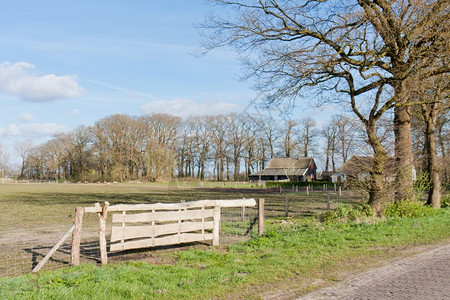 荷兰牧场有农舍和栅栏图片