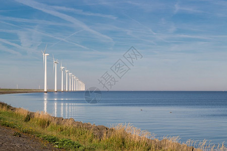 沿海岸边有长排风力涡轮机图片