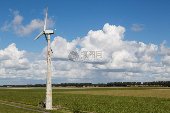 弗列沃兰农村景观中的荷兰风涡轮油图片