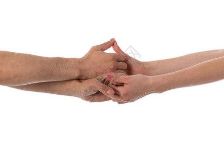 四只手牵着在白色上被孤立背景图片