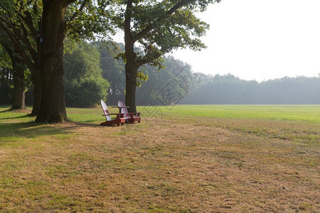 荷兰农村景观中的木制海滩椅图片