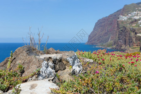 美丽的海岸与悬崖在葡萄牙马德拉岛图片