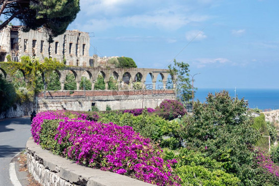 意大利锡克亚岛托尔米纳的布干维鲜花和古代建筑图片