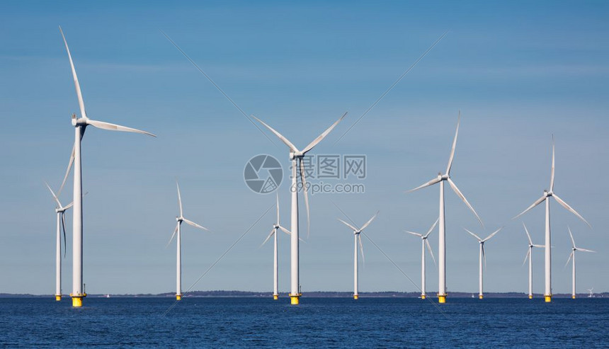 荷兰海岸附近的农场挡风堤蓝天对准荷兰海岸图片