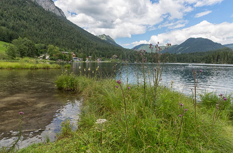 在巴伐利亚阿尔普斯的拉姆苏附近Hintersee湖岸沿线有盛开花和旅馆在巴伐利亚阿尔普斯的拉姆苏附近Hintersee湖和酒店图片