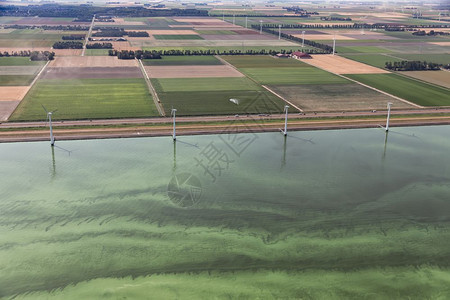 夏季热暑荷兰弗列沃省海岸的荷铁路风向炎热海中通过富营养化覆盖着蓝绿色藻类蓝氰化细菌图片