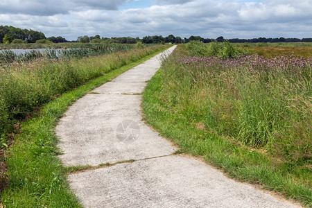 荷兰公园带田地和湿的循环轨道荷兰公园带田地和湿的循环路线图片