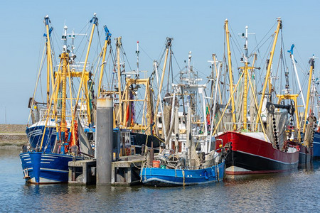 荷兰港的虾渔船Lauwersoog荷兰港的虾渔船Lauwersoog图片