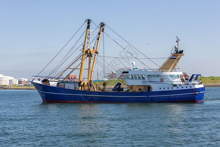 荷兰渔船切鱼驶入荷兰弗利辛根港图片