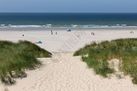 沙经过丘通往海滩北荷兰岸有边访客北有沙路通往北海荷兰岸滩图片