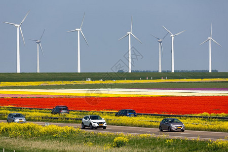 利斯塔德和埃美洛之间的荷兰高速公路沿多彩的郁金园和风力涡轮机沿着多彩的郁金园和风涡轮机图片