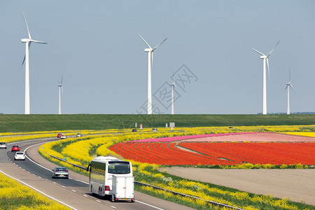 利斯塔德和埃美洛之间的荷兰高速公路沿多彩的郁金园和风力涡轮机沿着多彩的郁金园和风涡轮机图片