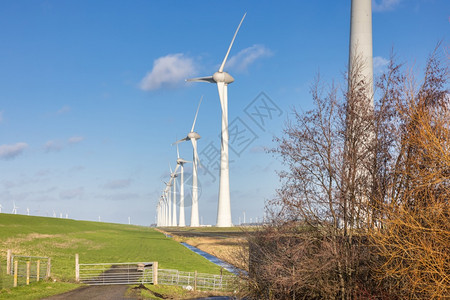 荷兰Noordoostpolder的圩田景观中蓝天的风力涡轮机荷兰Noordoostpolder圩田景观中的风力涡轮机图片
