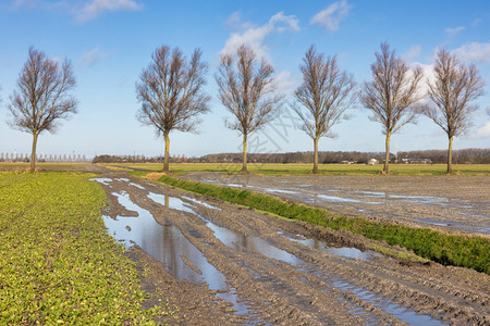 牟泥沟荷兰农业景观乡村道路和田地在大雨后用水池覆盖了农村和田地在暴雨后用水池覆盖了荷兰农业景观在雨后用水池覆盖了荷兰农业景观背景