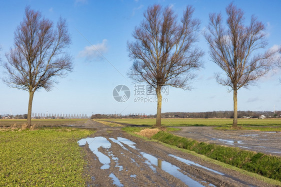 荷兰农业景观雨后水池覆盖农田雨水池覆盖农田雨水淋浴后池覆盖荷兰农业景观图片
