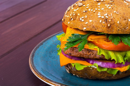 热的新鲜汉堡包和盘子里的肉工作室照片图片