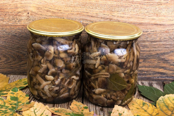 家制罐子玻璃和泡菜蘑菇工作室照片图片