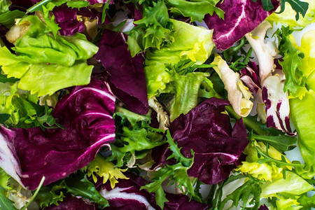 白色背景的新鲜生菜混合工作室照片白色背景的新鲜生菜混合图片