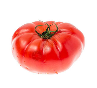 白背景的红番茄工作室照片图片